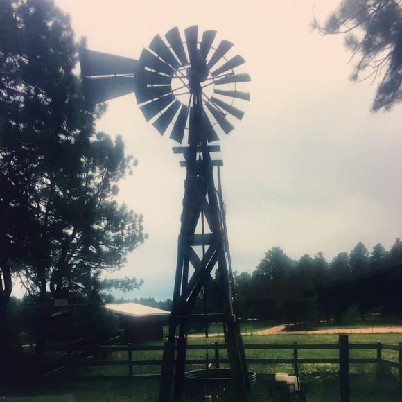 Meet your Posher, Allison - Picture 1 of 1